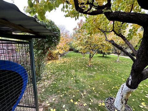 будинок за адресою Єлизавети Чавдар вул.