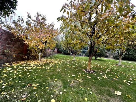 будинок за адресою Єлизавети Чавдар вул.