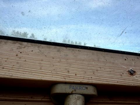 дом по адресу Лісова