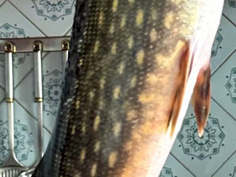 дом по адресу Центральна ул.