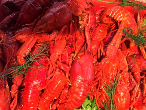 дом по адресу Центральна ул.