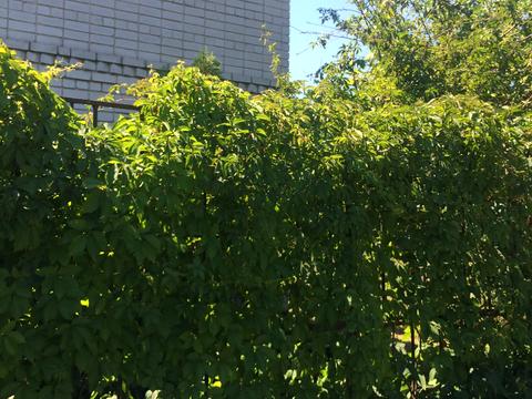 будинок за адресою Центральна вул.