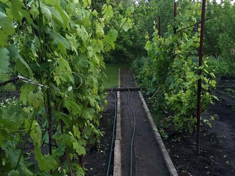 дом по адресу Центральна ул.