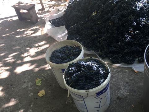 дом по адресу Центральна ул.