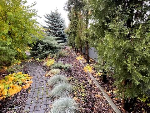 дом по адресу провулок новий