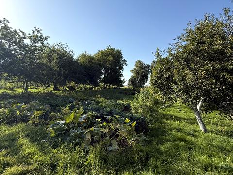 квартира за адресою Тракт глинянський, 19