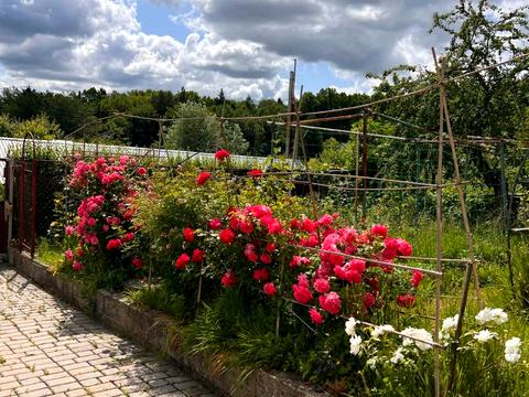 будинок за адресою Франка, 7