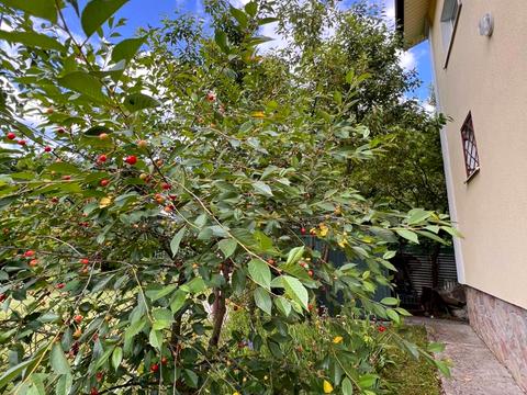 будинок за адресою Франка, 7