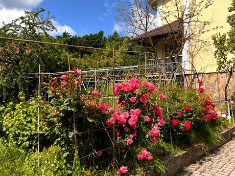 будинок за адресою Франка, 7