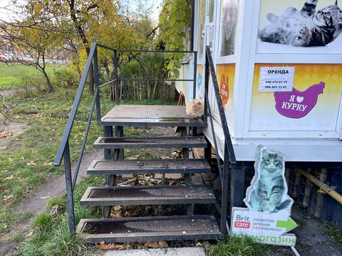 коммерческая по адресу Литовський просп. (Мінський), 6-А