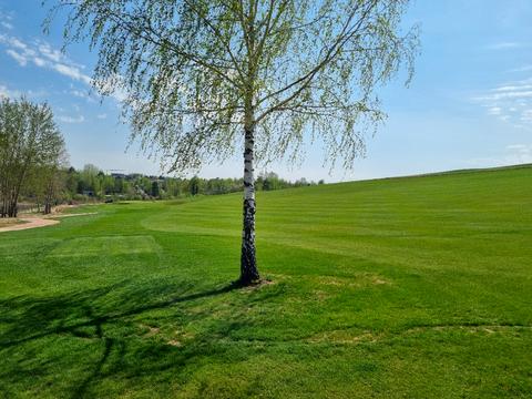 ділянка за адресою Проектна