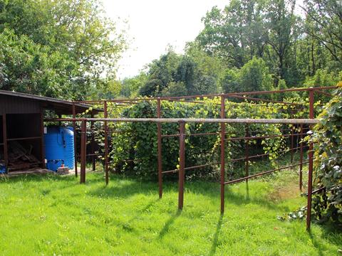 дом по адресу Добродетского ул., 10