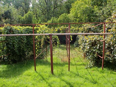 дом по адресу Добродетского ул., 10