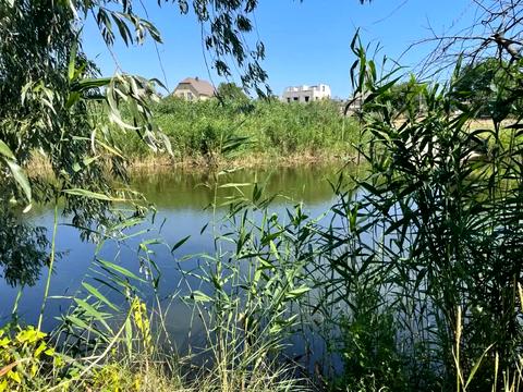 дом по адресу чарівна