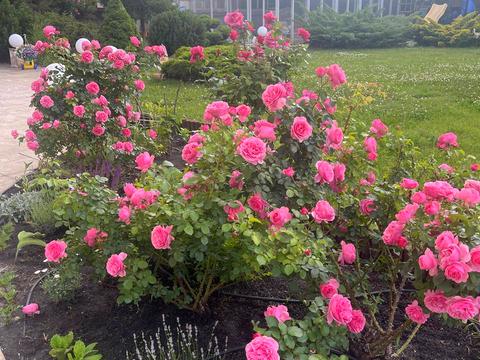 будинок за адресою Авіаторів, 5