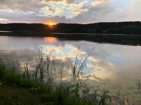 дом по адресу СТ Веселка