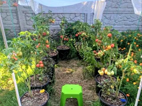 будинок за адресою Уляни Крюченко вул. (Череповецька)