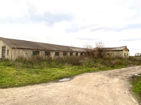 коммерческая по адресу Київська, 6