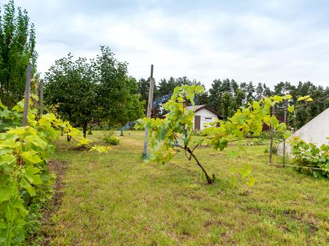 дом по адресу Перемоги, 10