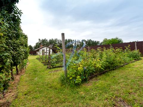 дом по адресу Перемоги, 10