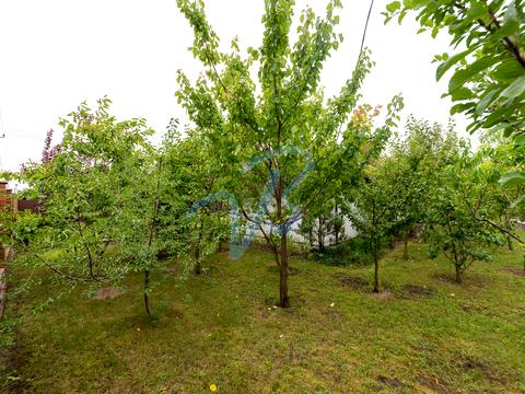 дом по адресу Перемоги, 10