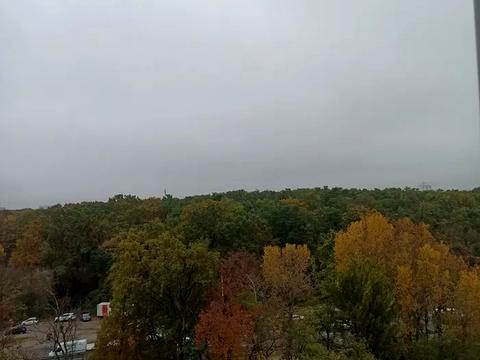 квартира за адресою Академіка Глушкова просп., 34