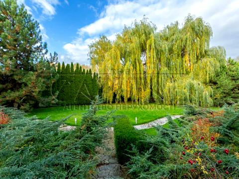 дом по адресу Скіфська ул.