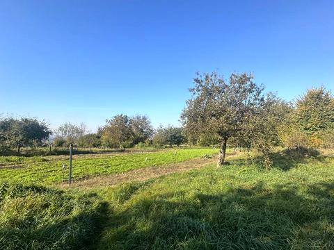 участок по адресу Бузкова ул., 27