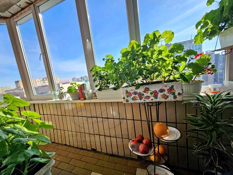 квартира за адресою Хрещатик вул., 200