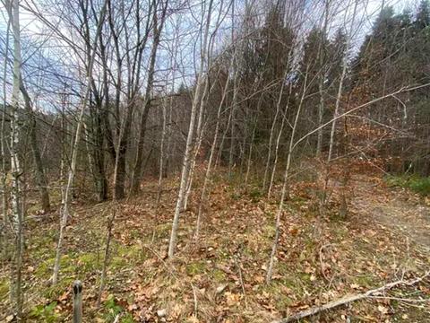 ділянка за адресою Степана Бандери вул.