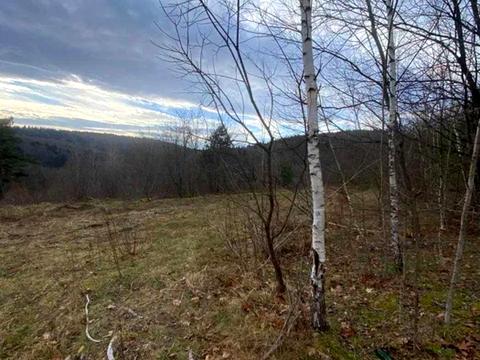 ділянка за адресою Степана Бандери вул.