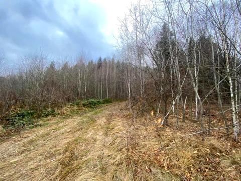 ділянка за адресою Степана Бандери вул.