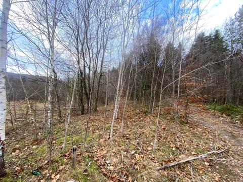 ділянка за адресою Степана Бандери вул.