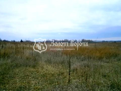 ділянка за адресою Молодіжна