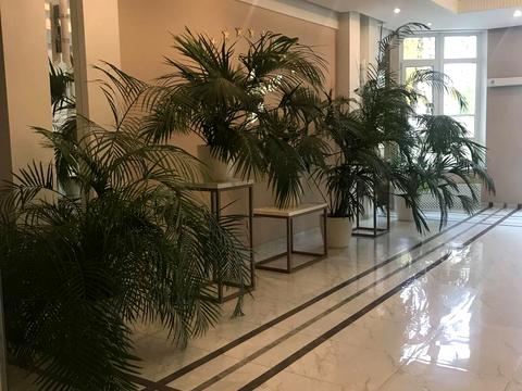 квартира за адресою Італійський бульв., 1в