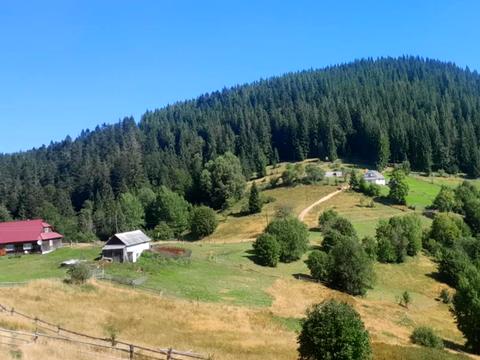 участок по адресу Горішків