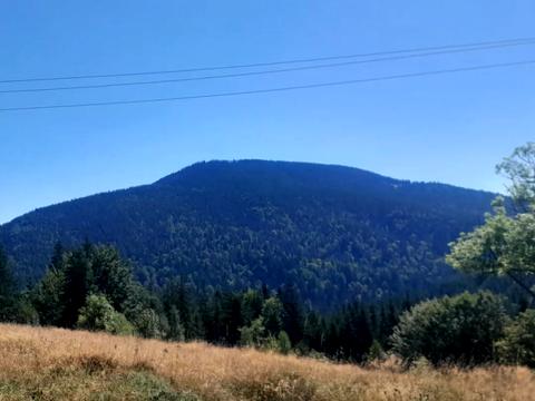 участок по адресу Горішків