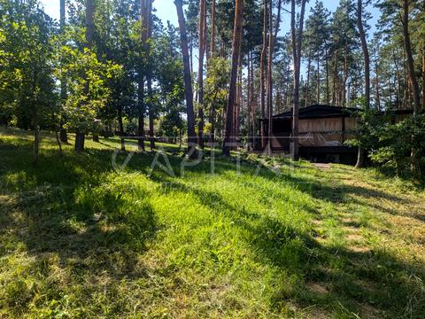 участок по адресу Центральна