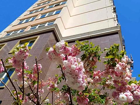 квартира по адресу Жемчужная ул., 1б