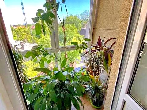 будинок за адресою Ромашкова вул.