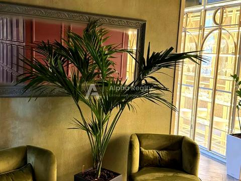 комерційна за адресою Софіївська вул., 14