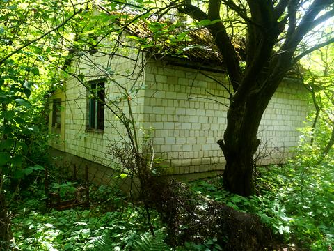 ділянка за адресою 