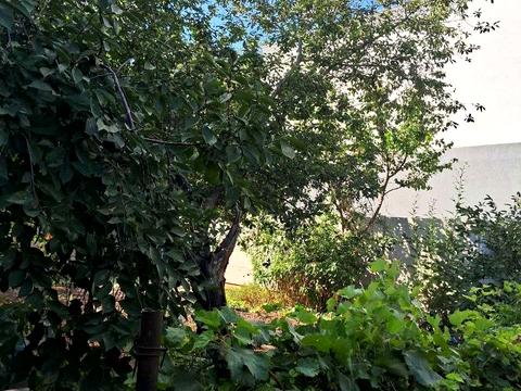 участок по адресу Дмитрия Донского, 95