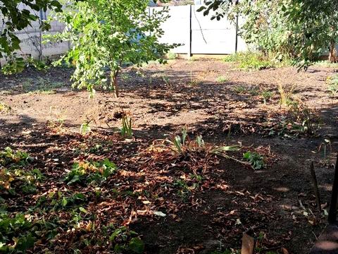 участок по адресу Дмитрия Донского, 95