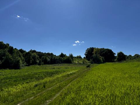 ділянка за адресою 