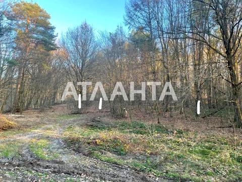 ділянка за адресою Центральна