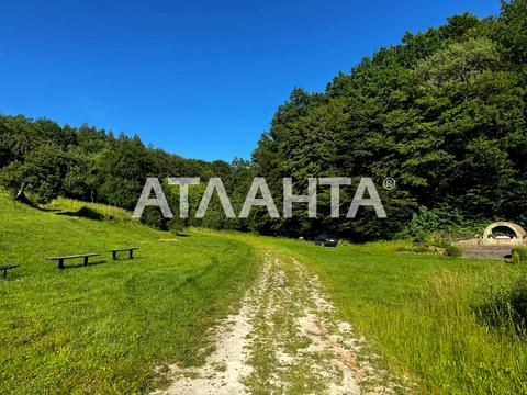 ділянка за адресою Центральна