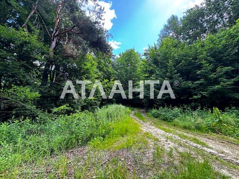 ділянка за адресою Центральна