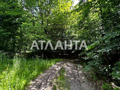 ділянка за адресою Центральна