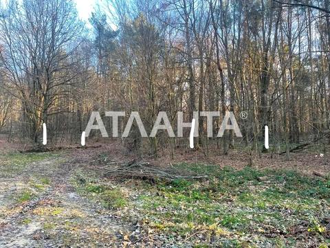 ділянка за адресою Центральна